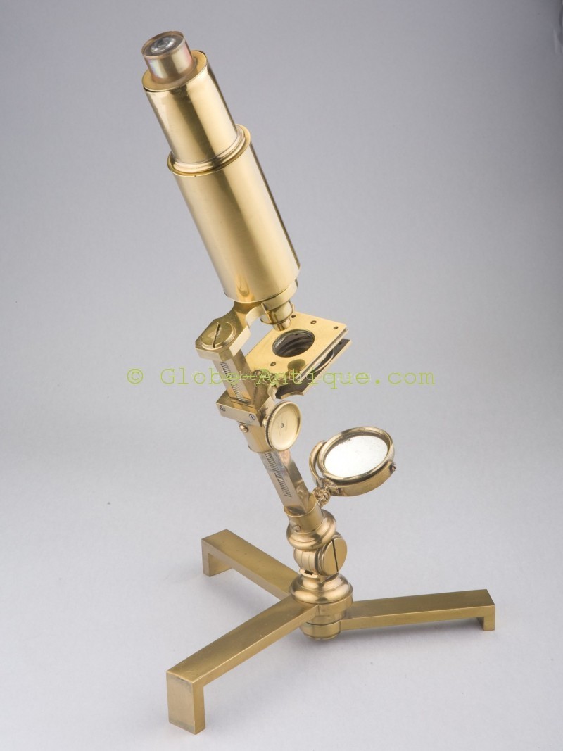 Compound Carpenter microscope c.1800 (England) Antique scientific and